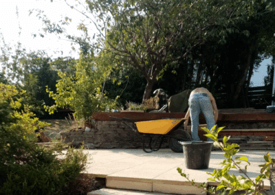 amac property maintenance ratedpeople gallery 016