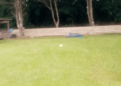 amac property maintenance ratedpeople gallery 042